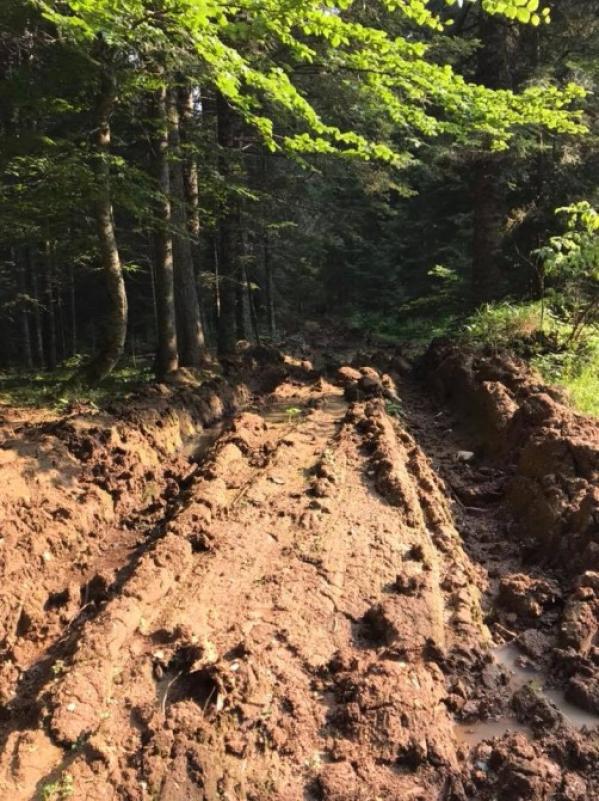 dvorista2.jpg - (FOTO) Ogledalo našeg sporta: Biatlon staza na Jahorini uništena