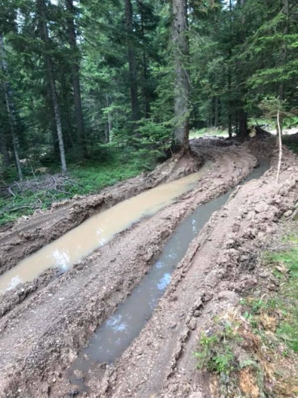 dvorista1.jpg - (FOTO) Ogledalo našeg sporta: Biatlon staza na Jahorini uništena