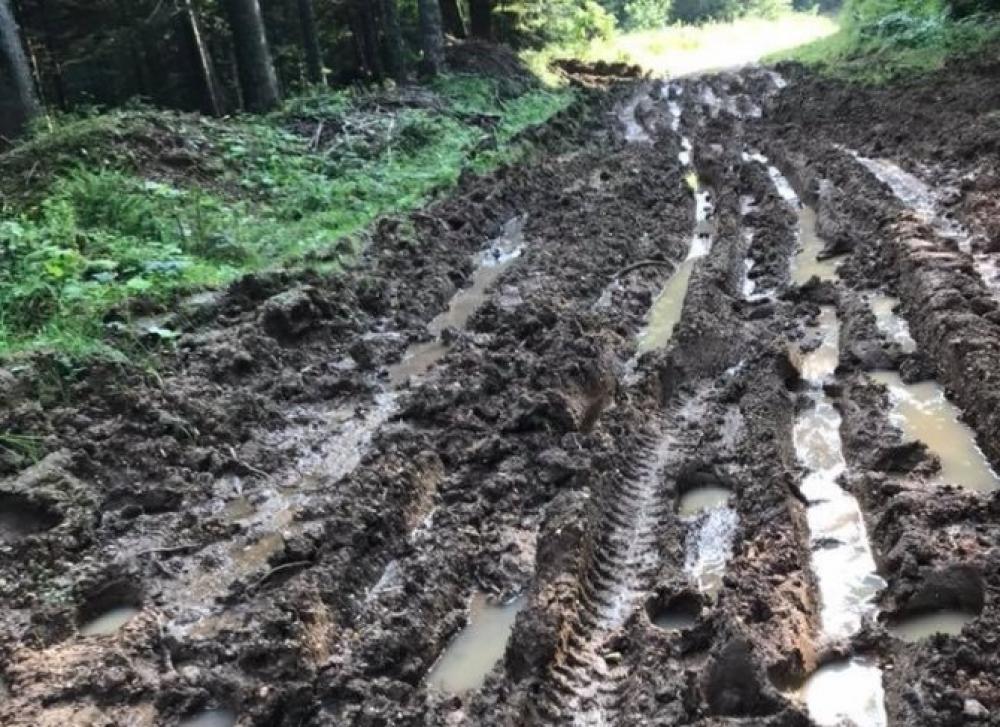 dvorista.jpg - (FOTO) Ogledalo našeg sporta: Biatlon staza na Jahorini uništena